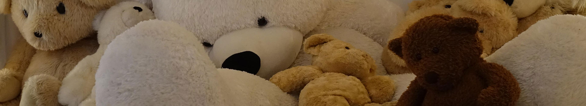 bear-attack-banner-1920×350