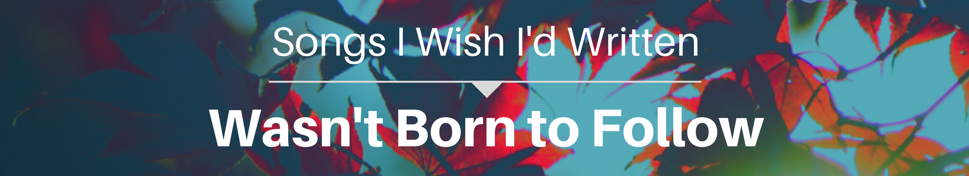 Songs I Wish I'd Written: Wasn't Born to Follow